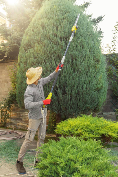 Best Pest Control for Lawns  in Agler Estates, FL
